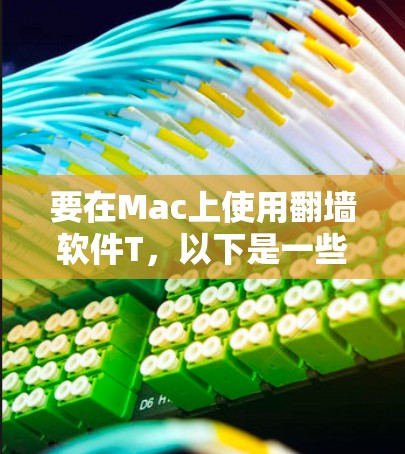 要在Mac上使用翻墙软件T，以下是一些步骤和注意事项