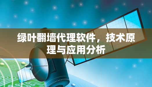 绿叶翻墙代理软件,技术原理与应用分析 绿叶翻墙代理软件,技术原理与应用分析