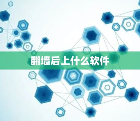 翻墙后上什么软件