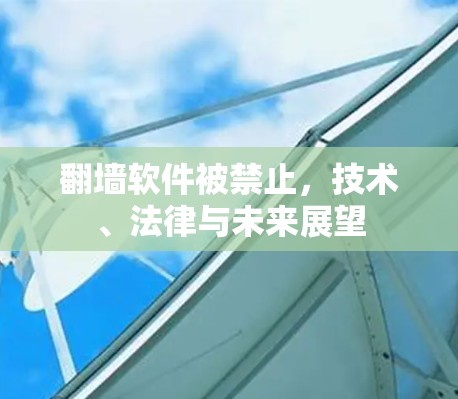 翻墙软件被禁止，技术、法律与未来展望