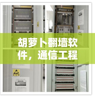 胡萝卜翻墙软件,通信工程师的秘密武器 胡萝卜翻墙软件,通信工程师的秘密武器