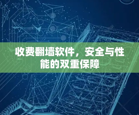 收费翻墙软件，安全与性能的双重保障