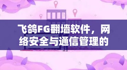 飞鸽FG翻墙软件,网络安全与通信管理的双重挑战 飞鸽FG翻墙软件,网络安全与通信管理的双重挑战