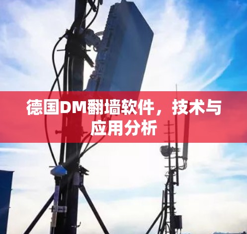 德国DM翻墙软件，技术与应用分析