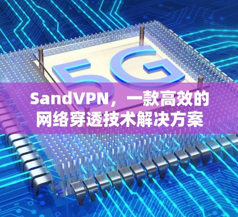 SandVPN,一款高效的网络穿透技术解决方案 SandVPN,一款高效的网络穿透技术解决方案