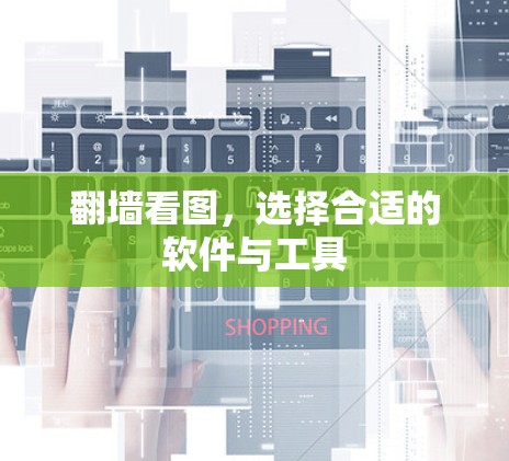 翻墙看图,选择合适的软件与工具 翻墙看图,选择合适的软件与工具