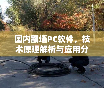 国内翻墙PC软件，技术原理解析与应用分析