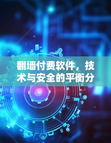 翻墙付费软件，技术与安全的平衡分析