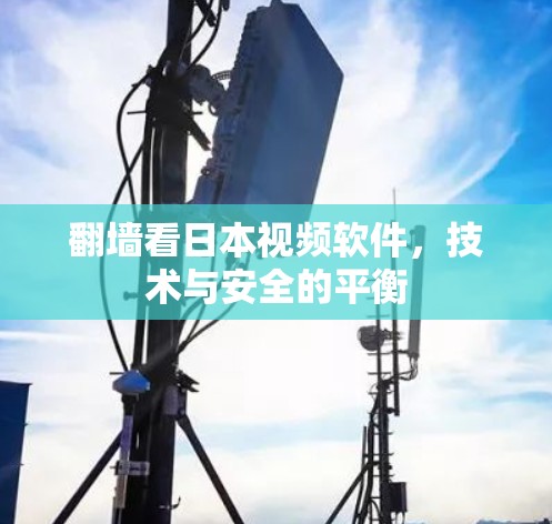 翻墙看日本视频软件，技术与安全的平衡