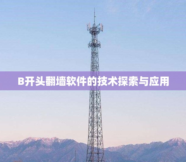 B开头翻墙软件的技术探索与应用