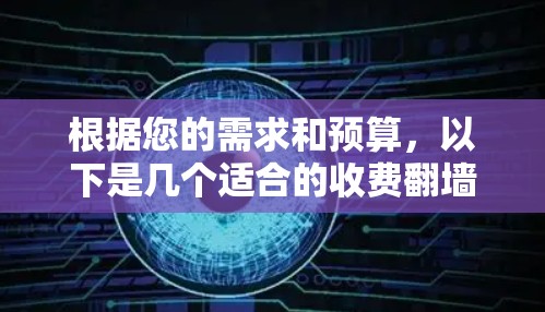 根据您的需求和预算，以下是几个适合的收费翻墙软件推荐