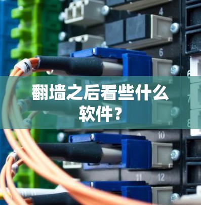 翻墙之后看些什么软件？