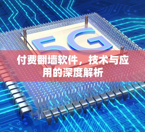 付费翻墙软件,技术与应用的深度解析 付费翻墙软件,技术与应用的深度解析