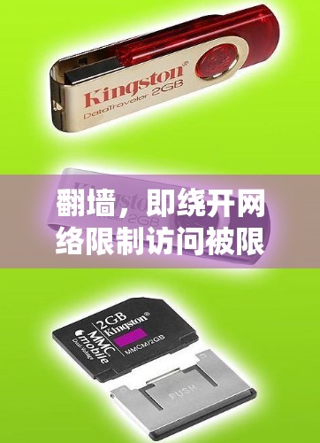 翻墙，即绕开网络限制访问被限制的网站或内容，通常需要使用特定的工具和技术。以下是常用的翻墙方法及其所需工具和步骤