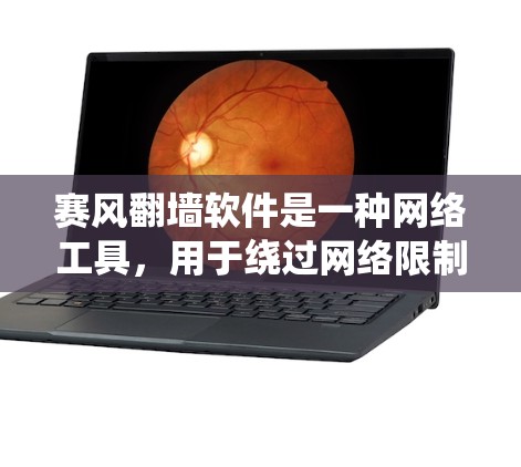 赛风翻墙软件是一种网络工具，用于绕过网络限制，访问被屏蔽或限制访问的网站。以下是使用赛风翻墙软件的基本步骤