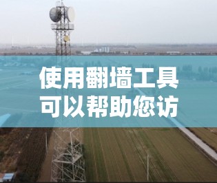 使用翻墙工具可以帮助您访问受地区限制的网站，但也需要谨慎选择和使用，以确保安全和合法性。以下是对常见翻墙软件的分析和建议