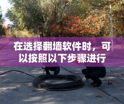 在选择翻墙软件时，可以按照以下步骤进行