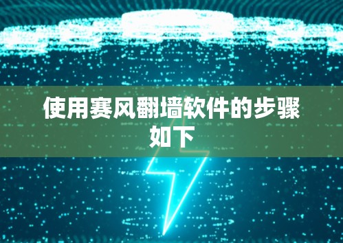 使用赛风翻墙软件的步骤如下