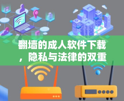 翻墙的成人软件下载，隐私与法律的双重考验