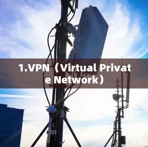 1.VPN(Virtual Private Network) 1.VPN(Virtual Private Network)