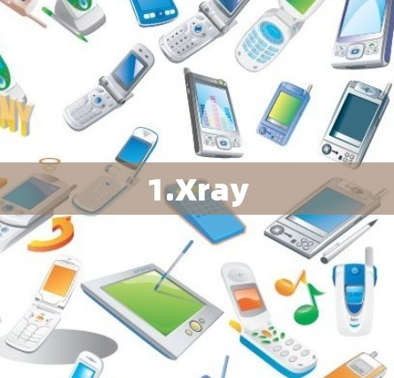 1.Xray
