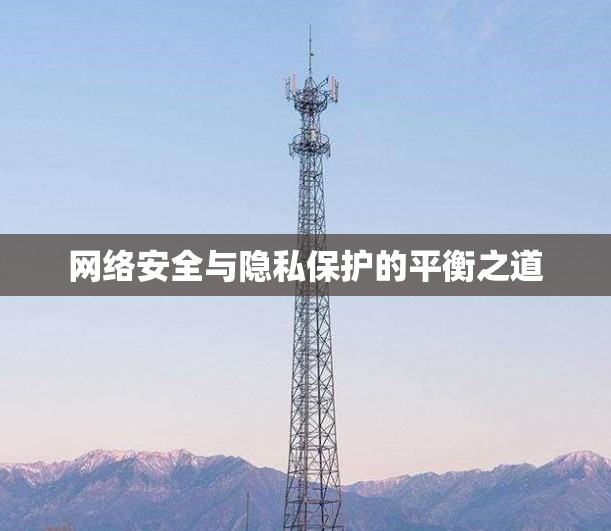 网络安全与隐私保护的平衡之道