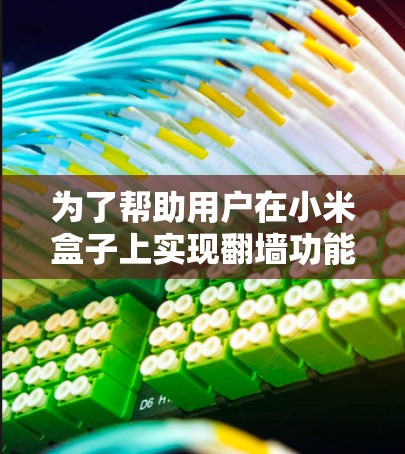 为了帮助用户在小米盒子上实现翻墙功能,以下是一些详细的方法和步骤 为了帮助用户在小米盒子上实现翻墙功能,以下是一些详细的方法和步骤