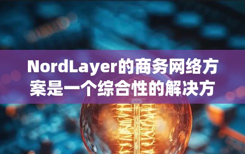 NordLayer的商务网络方案是一个综合性的解决方案，旨在为企业用户提供高度安全、灵活和易于管理的网络环境。以下是该方案的详细分析