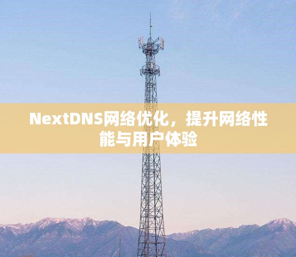 NextDNS网络优化,提升网络性能与用户体验 NextDNS网络优化,提升网络性能与用户体验