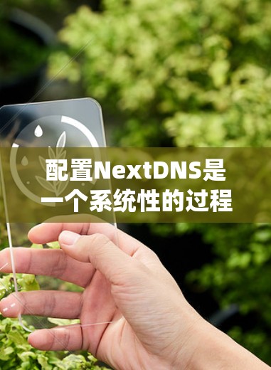 配置NextDNS是一个系统性的过程，以下是详细的步骤指南，帮助您顺利完成配置