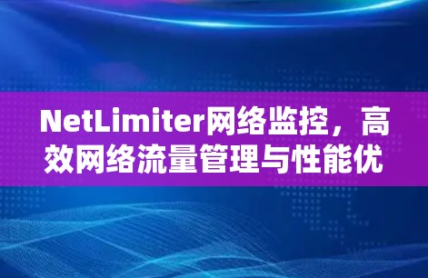 NetLimiter网络监控，高效网络流量管理与性能优化