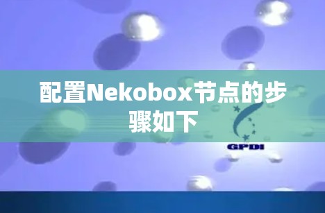 配置Nekobox节点的步骤如下 配置Nekobox节点的步骤如下