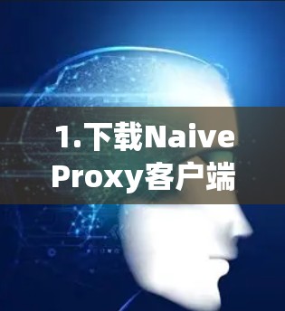 1.下载NaiveProxy客户端 1.下载NaiveProxy客户端