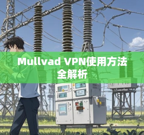 Mullvad VPN使用方法全解析 Mullvad VPN使用方法全解析