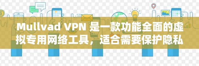 Mullvad VPN 是一款功能全面的虚拟专用网络工具，适合需要保护隐私和安全的用户。以下是对其功能和优势的详细分析
