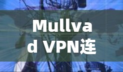 Mullvad VPN连接方法详解 Mullvad VPN连接方法详解