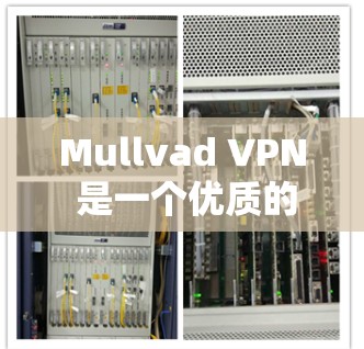 Mullvad VPN 是一个优质的选择,适合追求隐私和安全的用户。以下是对其的详细分析 Mullvad VPN 是一个优质的选择,适合追求隐私和安全的用户。以下是对其的详细分析