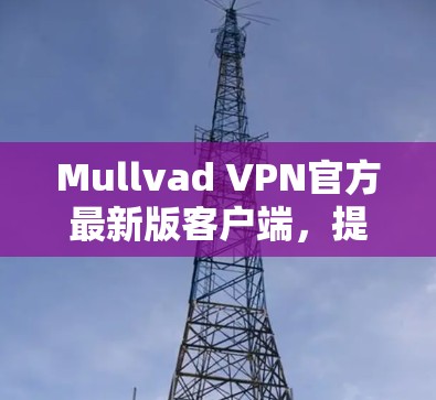 Mullvad VPN官方最新版客户端,提升网络安全与连接速度 Mullvad VPN官方最新版客户端,提升网络安全与连接速度