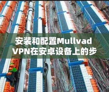 安装和配置Mullvad VPN在安卓设备上的步骤如下