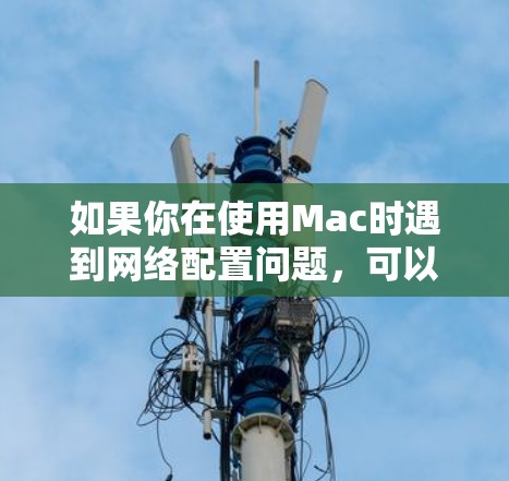 如果你在使用Mac时遇到网络配置问题，可以按照以下步骤进行排查和解决