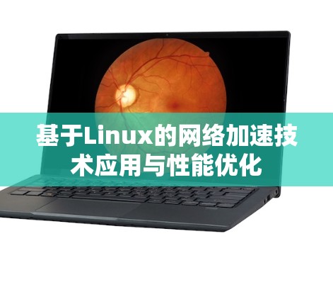 基于Linux的网络加速技术应用与性能优化