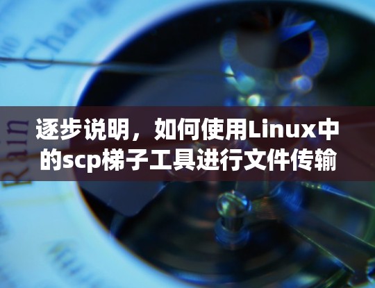 逐步说明，如何使用Linux中的scp梯子工具进行文件传输