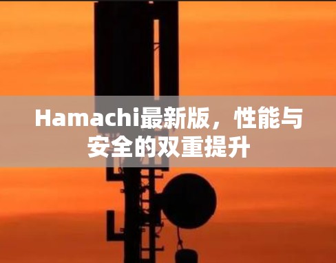 Hamachi最新版，性能与安全的双重提升