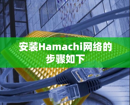 安装Hamachi网络的步骤如下