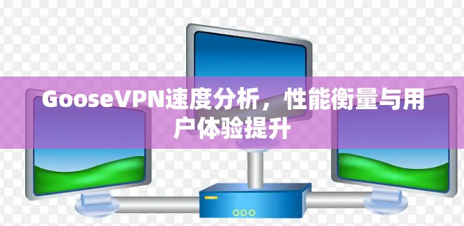GooseVPN速度分析，性能衡量与用户体验提升