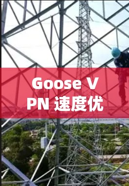 Goose VPN 速度优化，线路调整教程