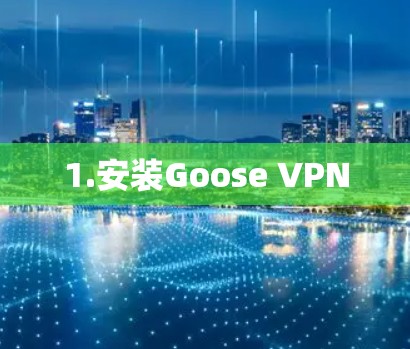 1.安装Goose VPN