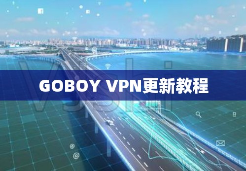 GOBOY VPN更新教程 GOBOY VPN更新教程