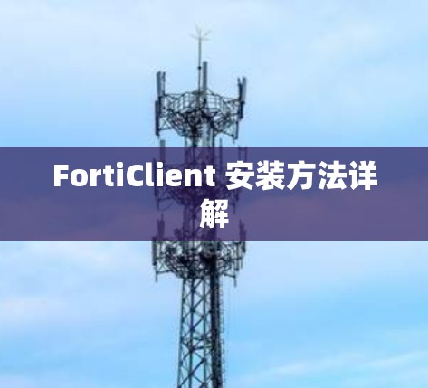 FortiClient 安装方法详解