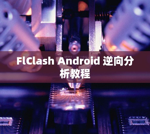 FlClash Android 逆向分析教程 FlClash Android 逆向分析教程